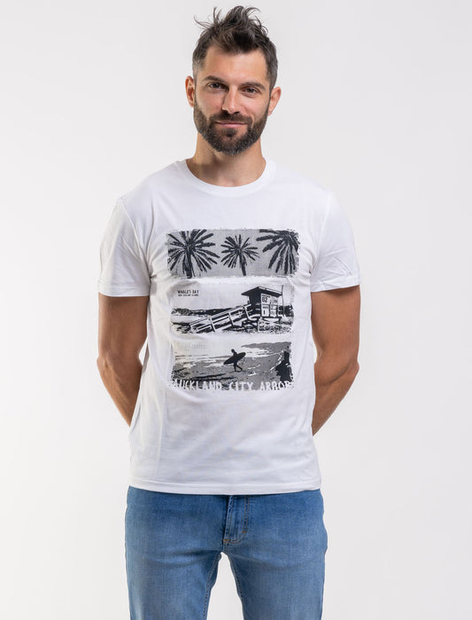 T-shirt HD-Auckland - Whale's Bay