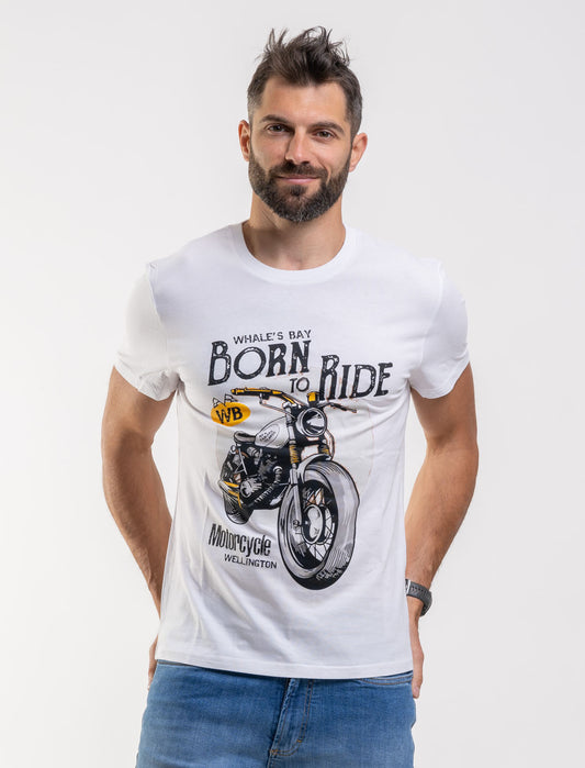 T-shirt HD-Wellington - Whale's Bay